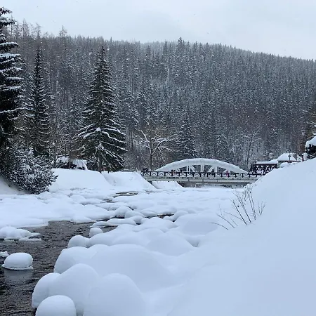 Savoy Exclusive Mountain *