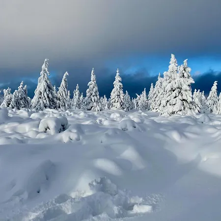 Savoy Exclusive Mountain Spindleruv Mlyn