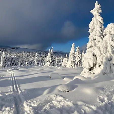 Apartment Savoy Exclusive Mountain Spindleruv Mlyn