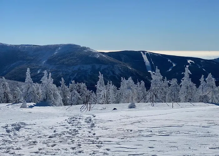 アパート Savoy Exclusive Mountain *