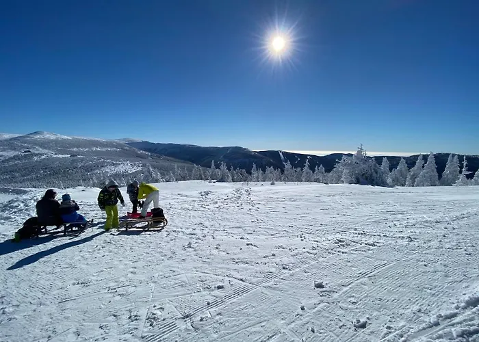 Savoy Exclusive Mountain アパート