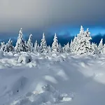 Savoy Exclusive Mountain Špindlerŭv Mlýn