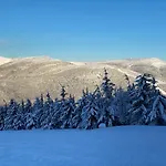 Savoy Exclusive Mountain *