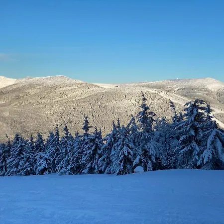 Savoy Exclusive Mountain *