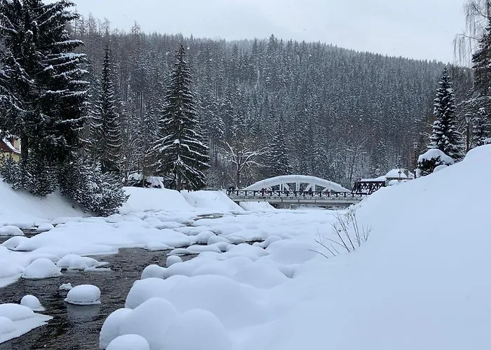 Savoy Exclusive Mountain *