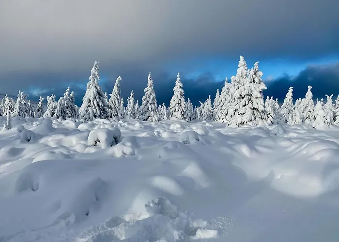 Savoy Exclusive Mountain Špindlerŭv Mlýn