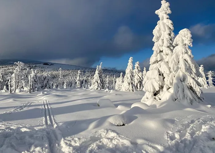 Daire Savoy Exclusive Mountain Špindlerŭv Mlýn