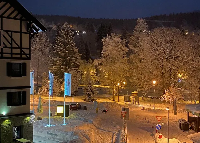 Savoy Exclusive Mountain Daire Špindlerŭv Mlýn